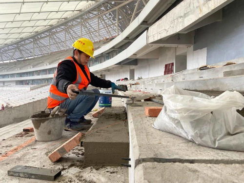 樂山奧體中心 全力推進內(nèi)裝工程 確保明年8月前竣工投運